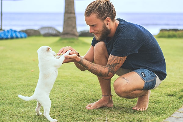 Köpek banyo ve kurulama